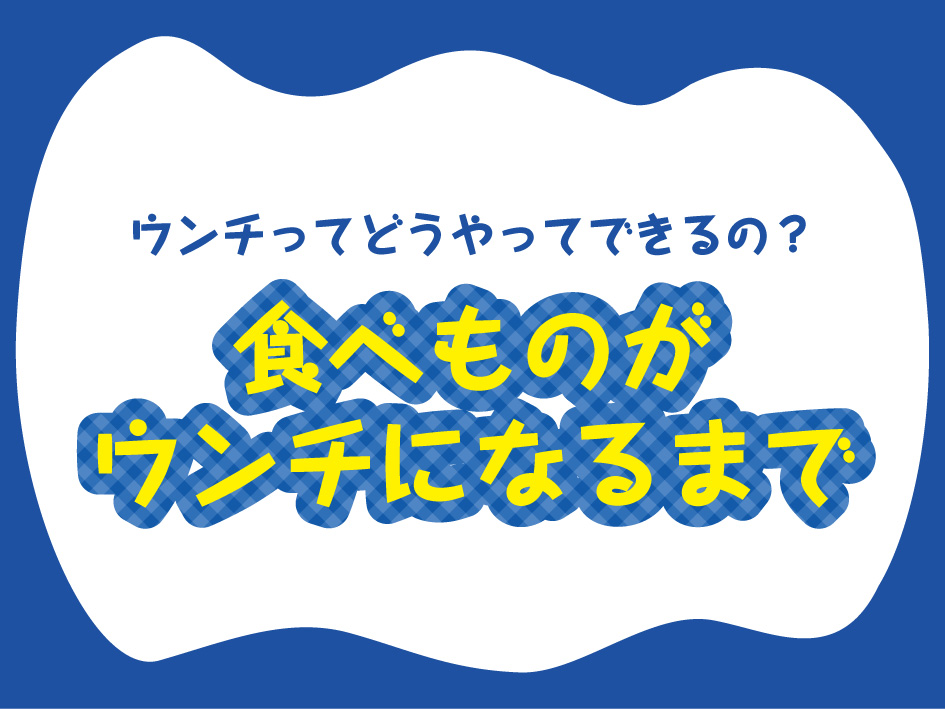 【ウンチって、どうやってできるの？】食べものがウンチになるまで